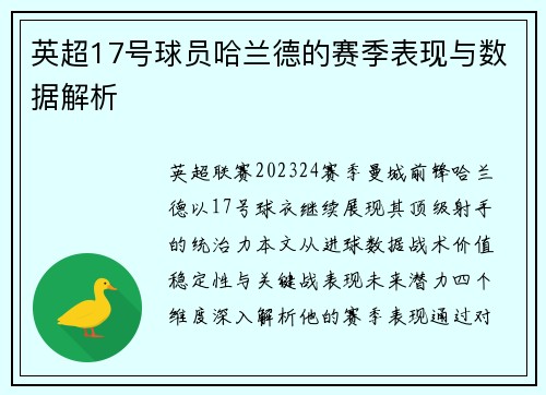 英超17号球员哈兰德的赛季表现与数据解析